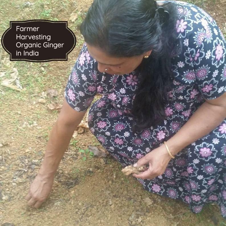 Organic Cumin Powder