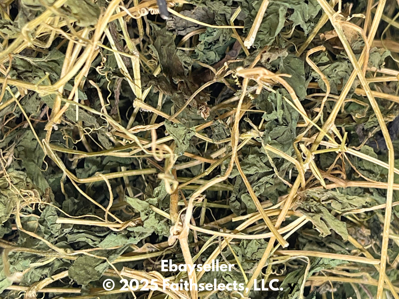Dried Cerasee Jamaica Whole leaves